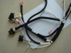 Automotive Harness