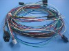 Automotive Wire Harness