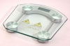 Bathroom scales