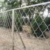 Beautiful grid mesh/ beautiful wire mesh/welded wire mesh