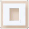 C86B2I wall switch plate