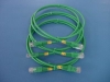CAT5E RJ45 Patch Cord with cable marker