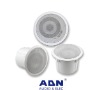 CEILING SPEAKER