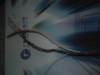 CMP CAT5E Cables