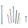 COMMON NAILS