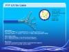 Cat5e FTP Cable