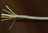 Cat6 UTP network cable
