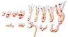 Copper Tube (Copper Tube Fittings)