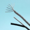 Covered Line -Aluminum Conductor cable
