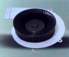 DC FLW Motor(FLW-100)