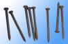 Deck Nail