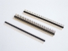 ELECTRONIC CONNECTOR   BREG  STRIP