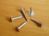 E.G. roofing nail