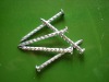 E.G. screwed nail