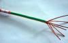 Electric Wire