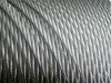 Electric galvanized steel wire rope