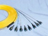 FC/UPC 12 Cors bunched Fan Out optical fiber tail