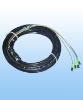 Fiber Optic Waterproof Pigtail--FC/APC