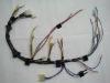 Generators Harness
