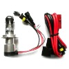High/Low HID Bulb