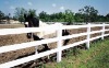 Horse fence