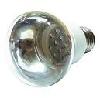LED LAMP bulb