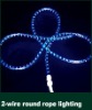 LED Rainbow Light
