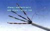 Lan Cable(Cat5e )