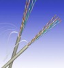 Lan cable CAT. 5 UTP/FTP