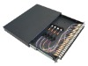 MPO panel with fanout