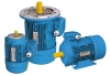 MS Series Three-Phase Asynchronous Motor (ac motor)