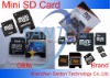 Mini SD Card (AD)