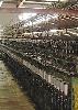 Nylon dipped  tyre cord fabric, fabric, tire cord