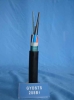 Optical fiber cable (GYDTS)