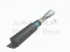 Outdoor Fiber Optic Cables (ISO9001)