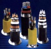 Overhead Insulated Cable