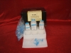 PCR Purification Kit