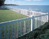 PVC Fence