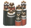 PVC insulated PE sheathed power cable up to 0.6/1kv