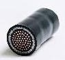 Plastic Insulated Control Cable(control wire,control line,Control Cable)