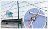 Razor Wire
