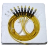 Ribbon Pigtail cord