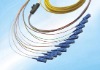 Ribbon multi-fiber optic pigtail
