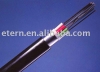 Ribbon optical fiber cable