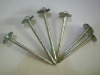 Roofing Nail, Umbrella Roofing Nail, Umbrella Head Roofing Nail(Factory)