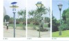 Solar light