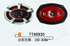 Speaker Tta6930