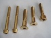 Titanium Fasteners