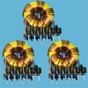 Toroidal Transformer