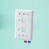 Two port face plate